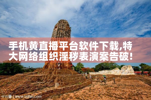 手机黄直播平台软件下载