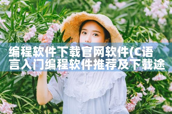 编程软件下载官网软件