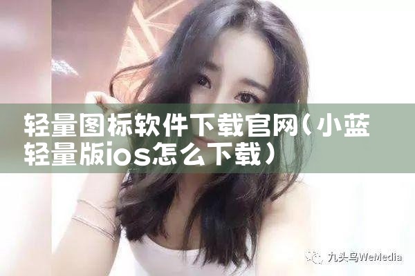 轻量图标软件下载官网