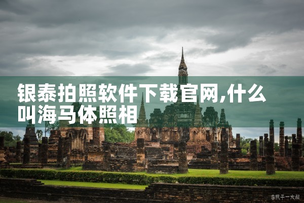 银泰拍照软件下载官网