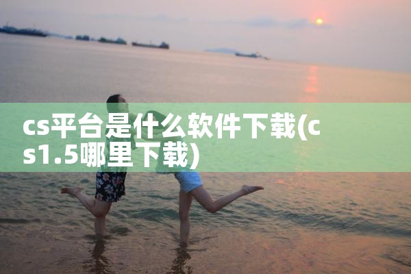cs平台是什么软件下载