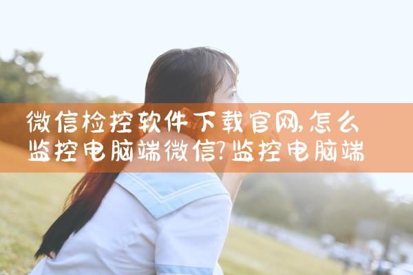微信检控软件下载官网