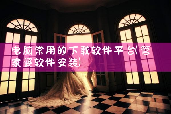 电脑常用的下载软件平台