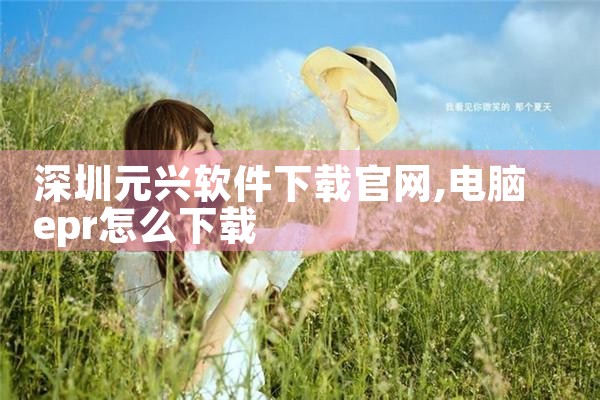 深圳元兴软件下载官网