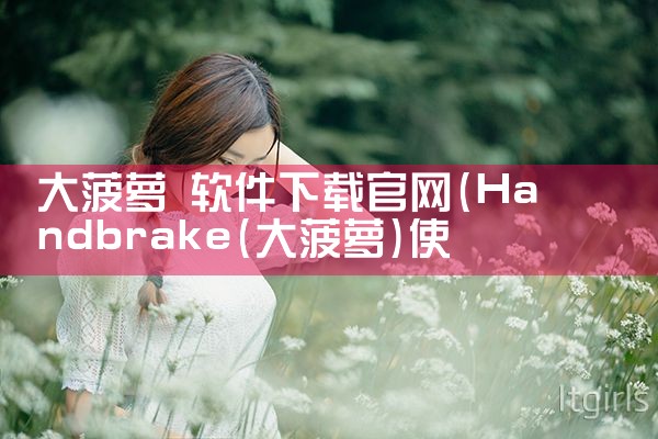 大菠萝 软件下载官网