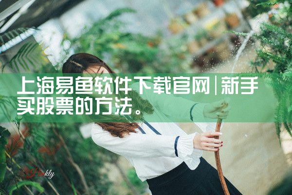 上海易鱼软件下载官网