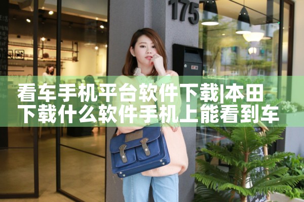 看车手机平台软件下载