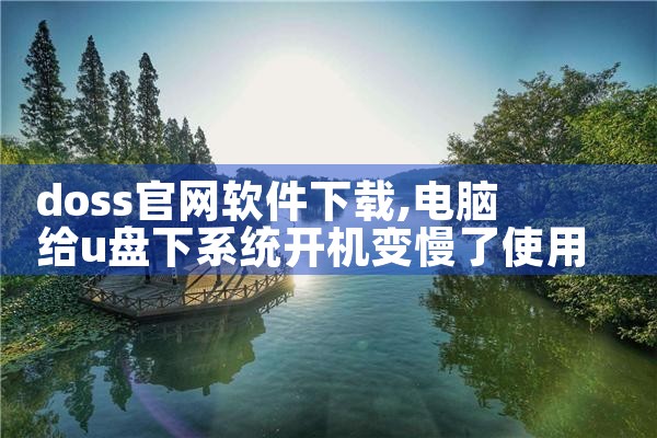 doss官网软件下载