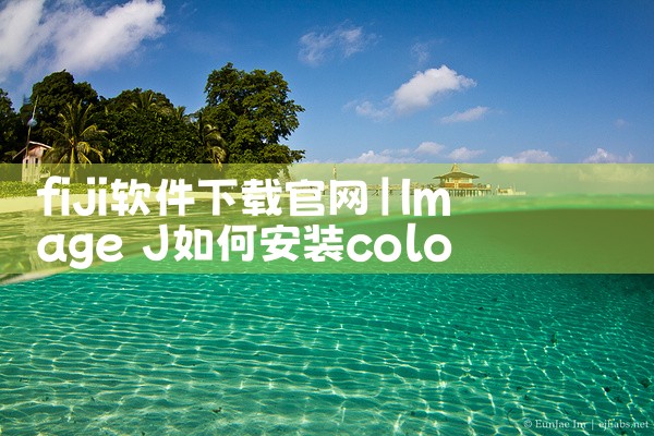 fiji软件下载官网