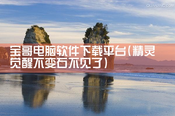 宝哥电脑软件下载平台