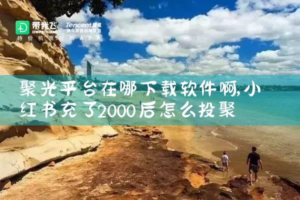 聚光平台在哪下载软件啊