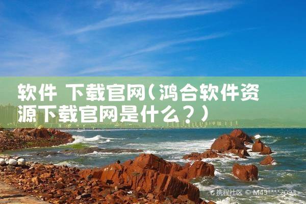 软件 下载官网